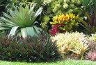 West Wiangareeorganic-gardening-14.jpg; ?>