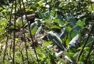 West Wiangareeorganic-gardening-3.jpg; ?>
