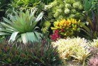 West Wiangareeplanting-garden-and-landscape-design-24.jpg; ?>