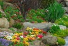West Wiangareeplanting-garden-and-landscape-design-69.jpg; ?>